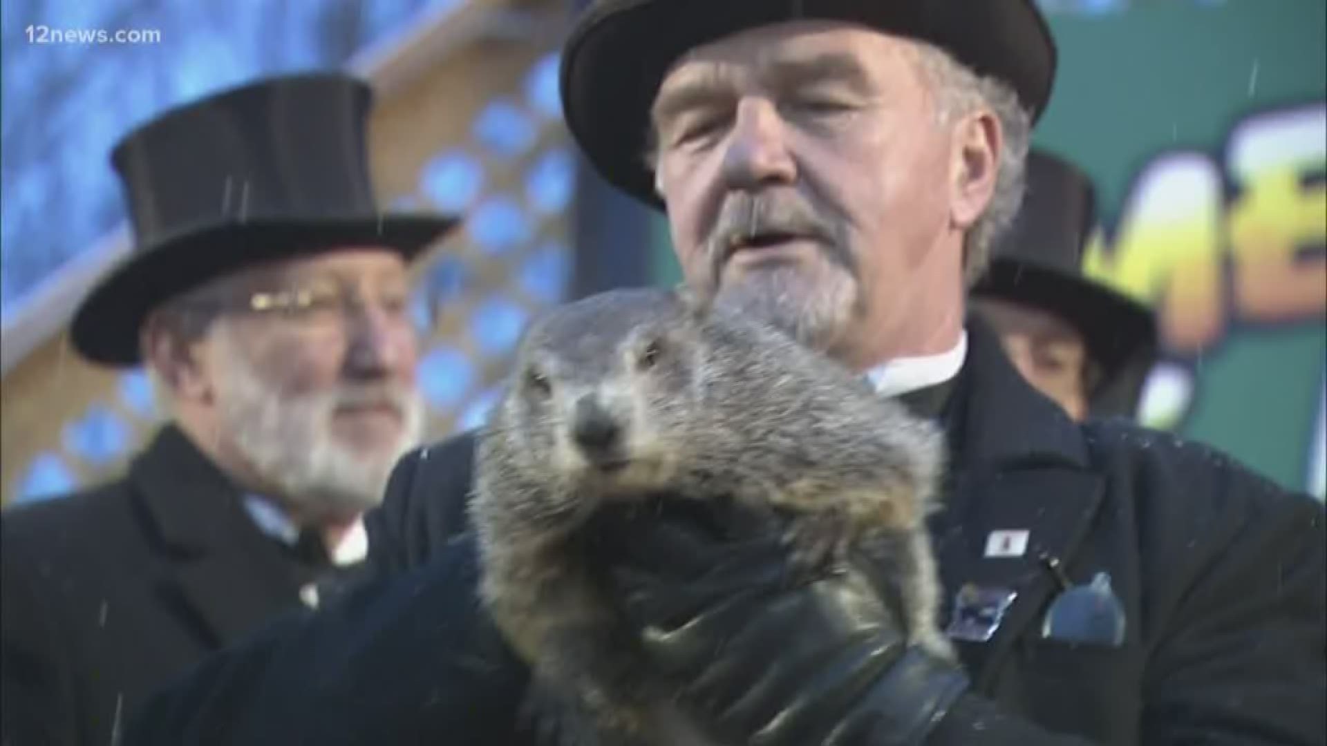 Looks like the famous groundhog didn't see his shadow this year, marking an early spring on the horizon.