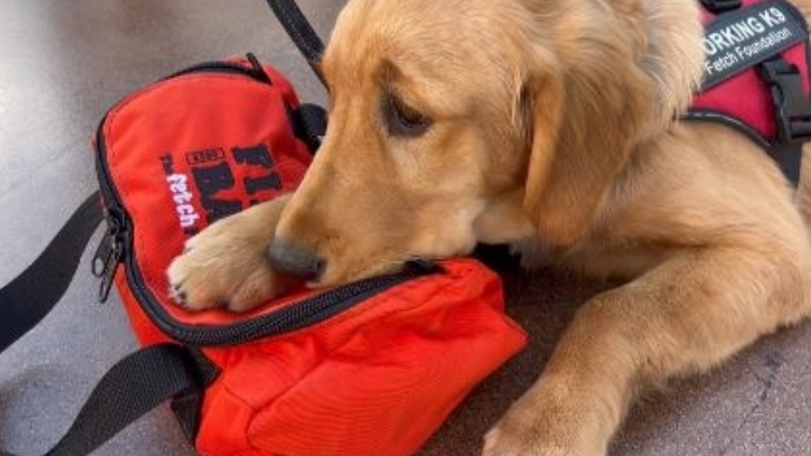 Fetch Foundation’s Fido Bags help pets survive fires