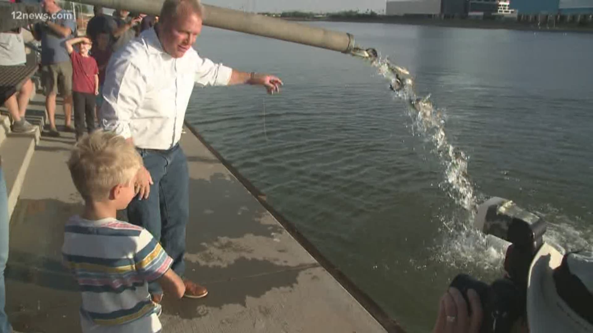 You know it's November in the Valley when fish return to Tempe Town Lake and thousands of rainbow trout were released yesterday. You do need a fishing permit in order to catch one, and licenses can be purchased at any Arizona Game and Fish office.