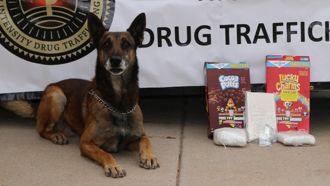 Dog in outlet cereal box