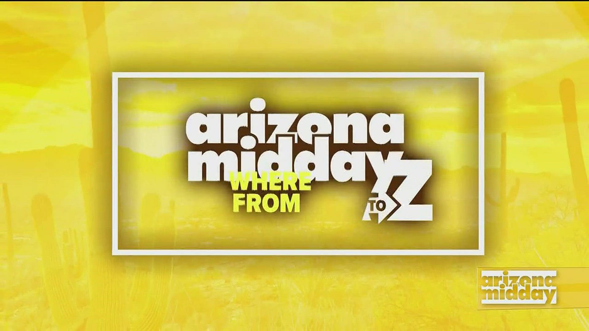 Dr. Alan Mafara gives us a look at some of the best pet care available in Gilbert.