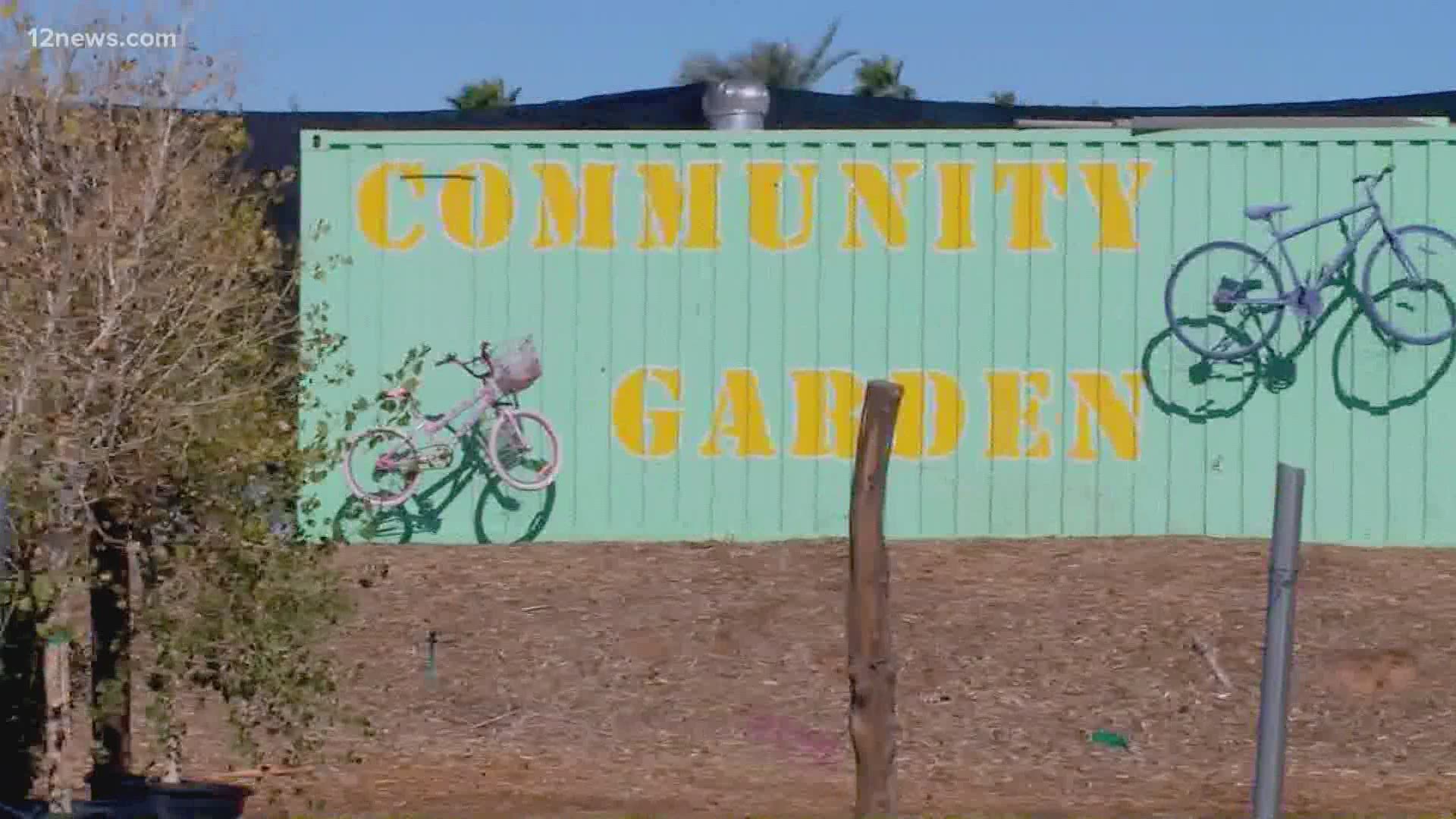 A central Phoenix community garden, Agave Farms, was vandalized over the weekend. Kindhearted volunteers have responded to help the garden bounce back.