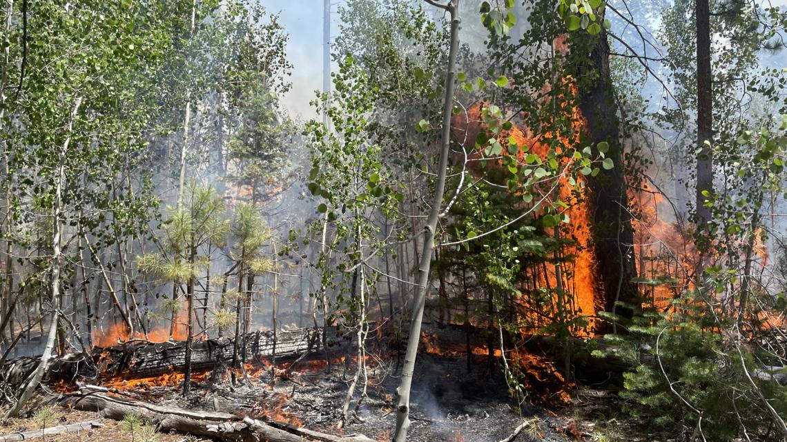 Grand Canyon National Park fire - B72b7395 7735 4879 8705 772cff28d2e0 1140x641