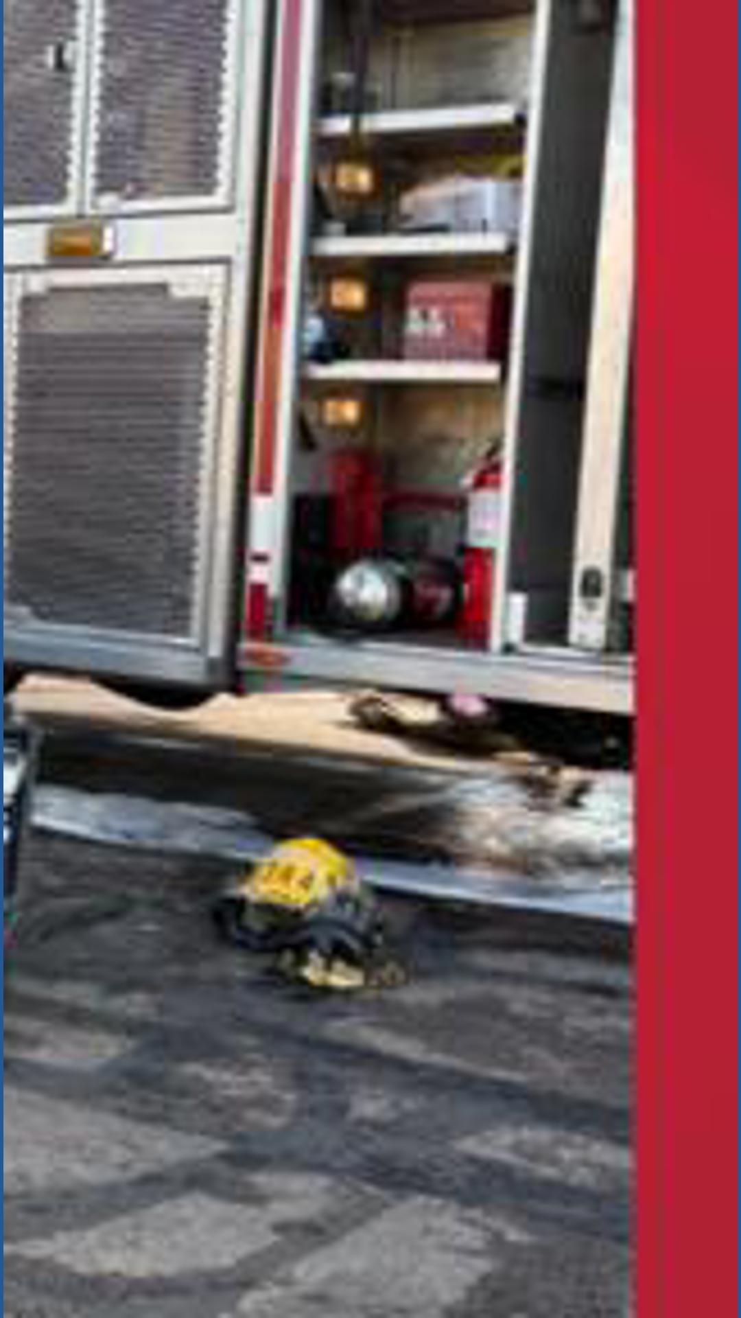 Cat rescued after fast-moving fire displaces resident in central ...