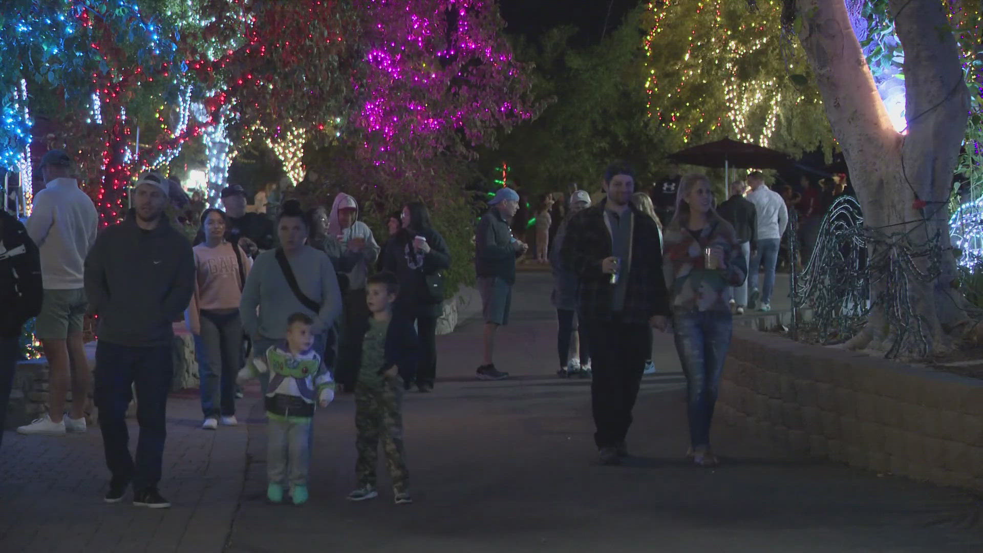 Not even a microburst could keep this Valley tradition from getting in the holiday swing! With just a few weeks to prepare, Zoolights is back in full swing. 
