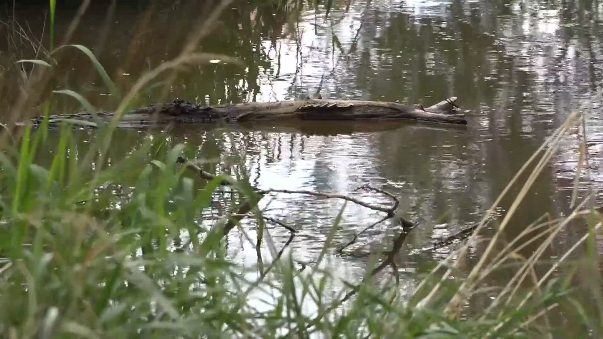 Prescott community mourns after 7-year-old found dead in creek