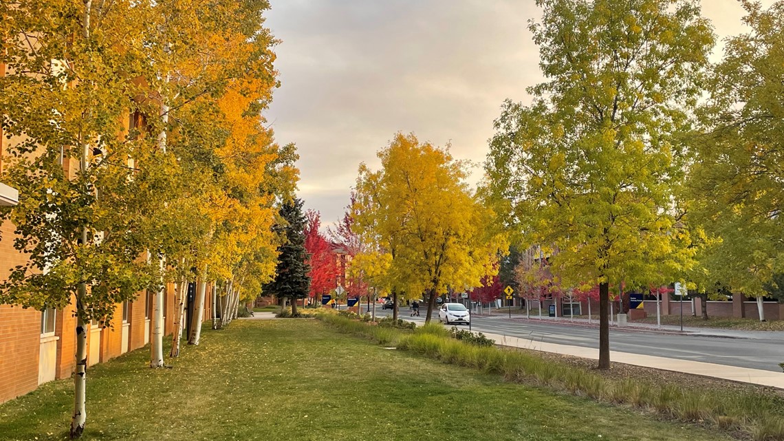 Flagstaff fall color map When do leaves change?