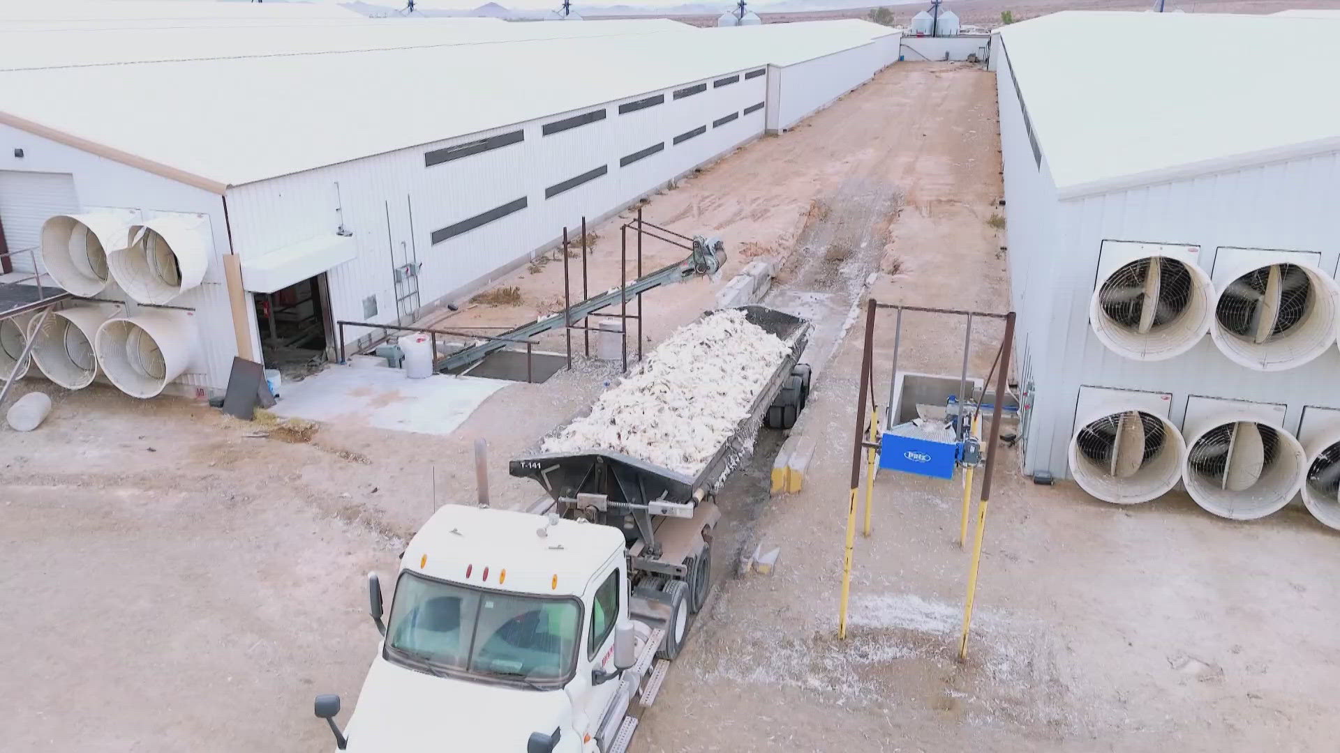 12news.com - Joe Dana - Neighbors concerned about groundwater after millions of chickens were buried on Valley farm; environmental studies underway