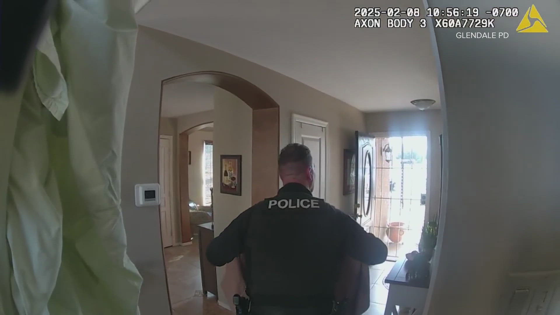 Police tried everything to catch the bird but couldn't get it to come out with its wings up. It did finally fly the coop though.