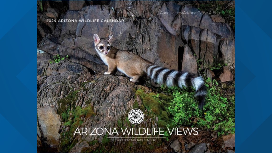 AZGFD releases 2024 Arizona wildlife calendar 1 News Media