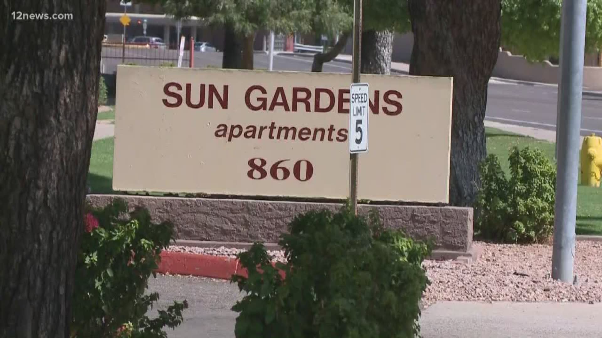 Officials raided Paul Petersen's home and office Tuesday night and they also raided an apartment complex in Mesa. The complex is where 8 pregnant women were found.