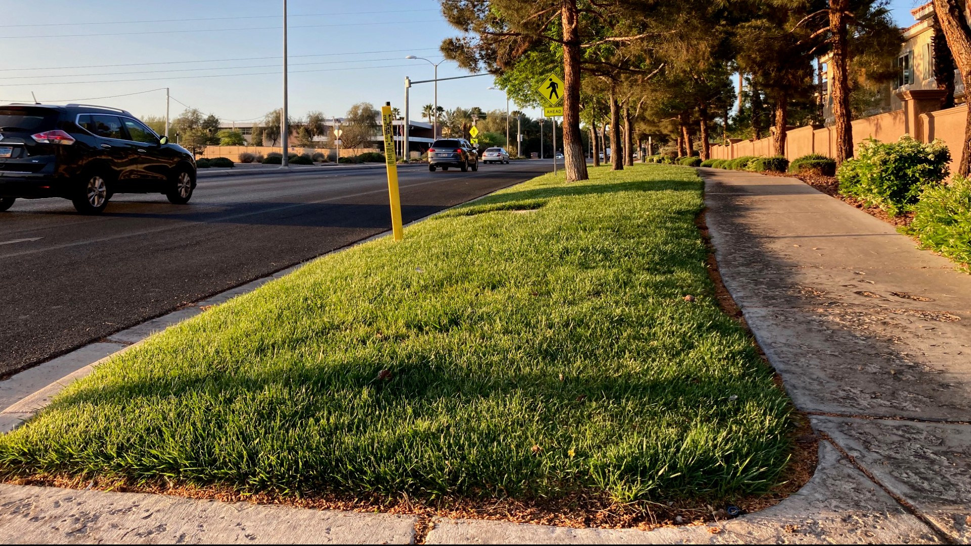 The city of Chandler is hosting a class to teach residents how to manage their landscapes during the summer heat and conserve water.