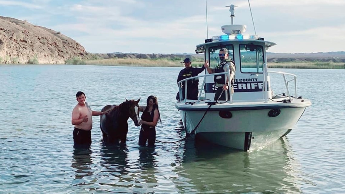 Kuda yang tenggelam dipandu kembali ke pantai di Danau Havasu