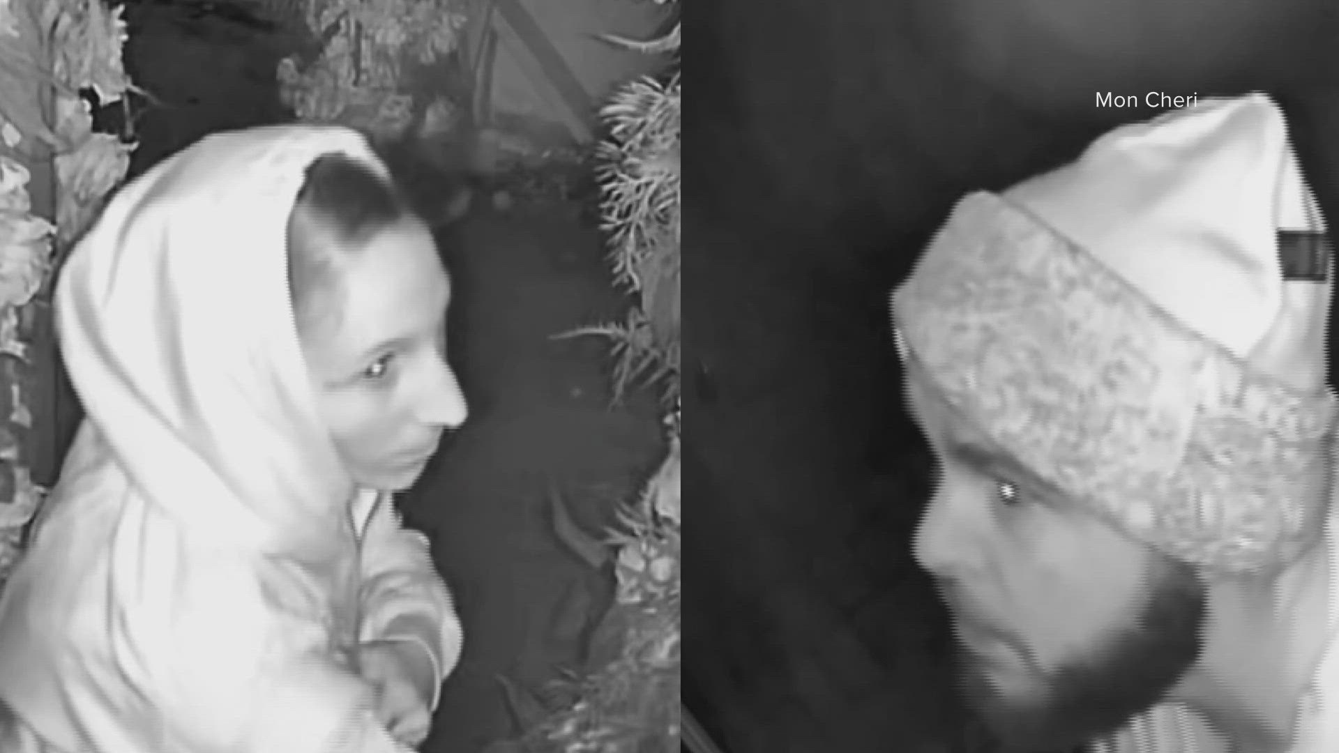 The couple allegedly stole cash and liquor after engaging in sexual activity on the restaurant's patio in Old Town. 