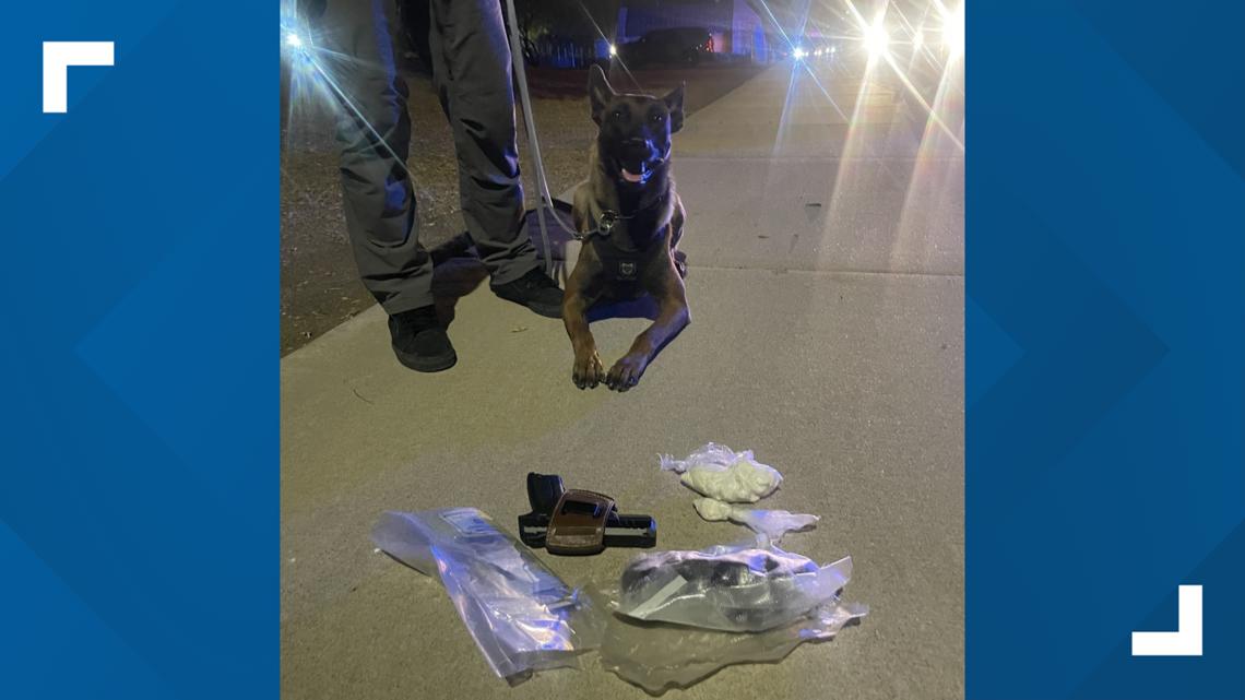 Arizona K9 sniffs out nearly 2 pounds of drugs during traffic stop