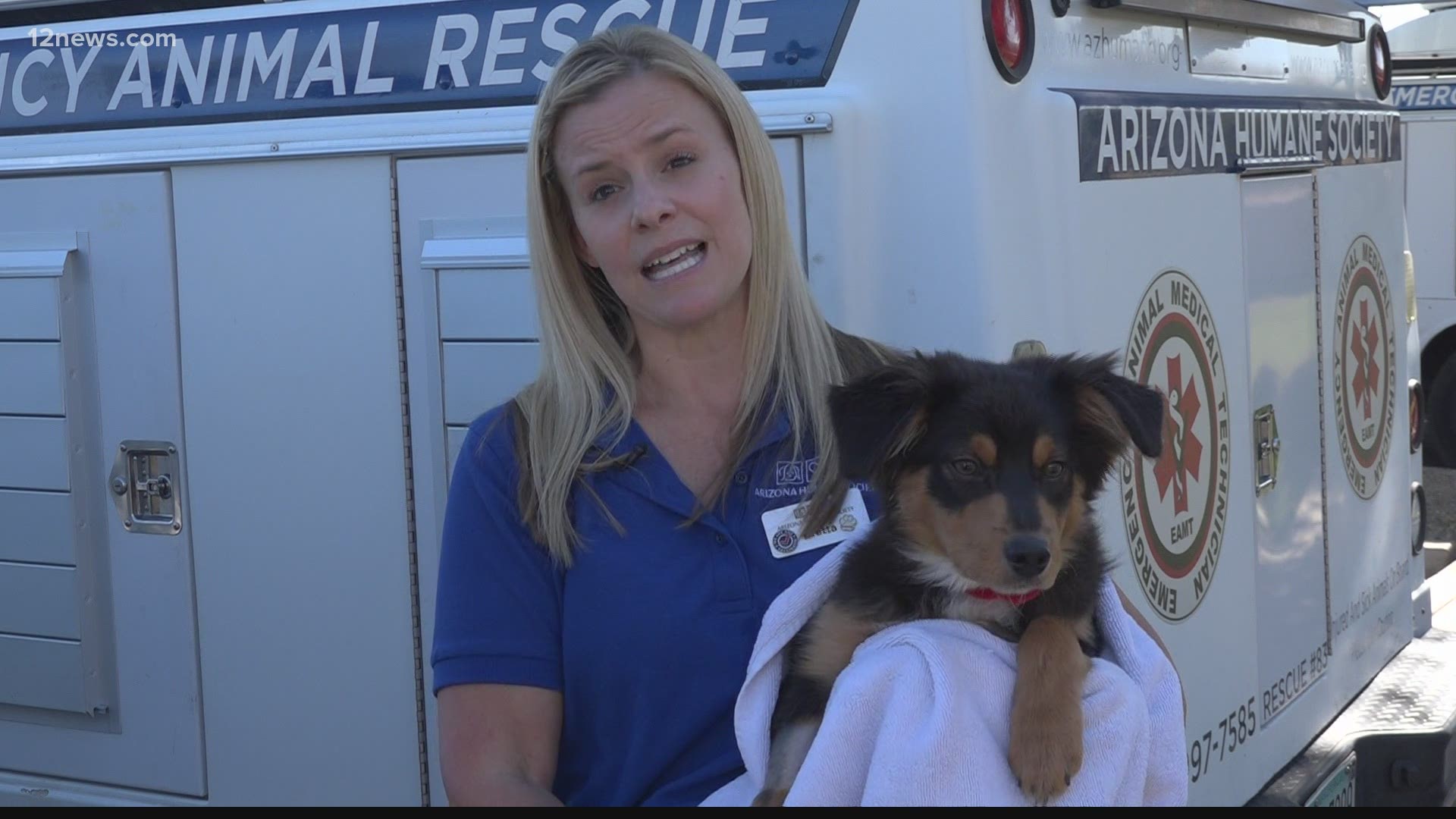 With temperatures rising, the Arizona Humane Society said it's time to start limiting your pets' time outdoors.