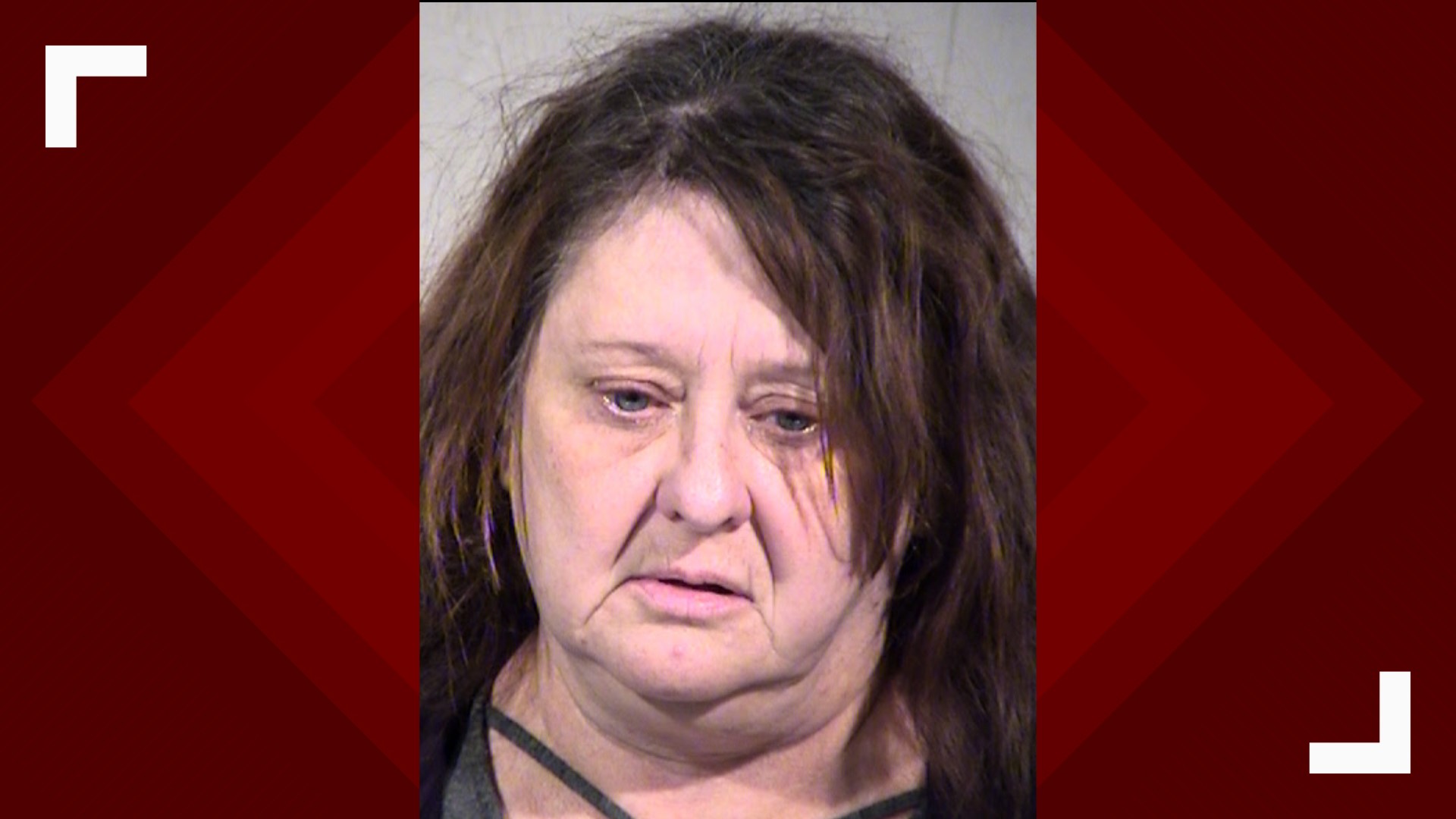 Half a dozen dead dogs and skeletal remains were found inside the home of a Mesa woman. Theresa Deanne Finneren was booked on 30 counts of animal cruelty.