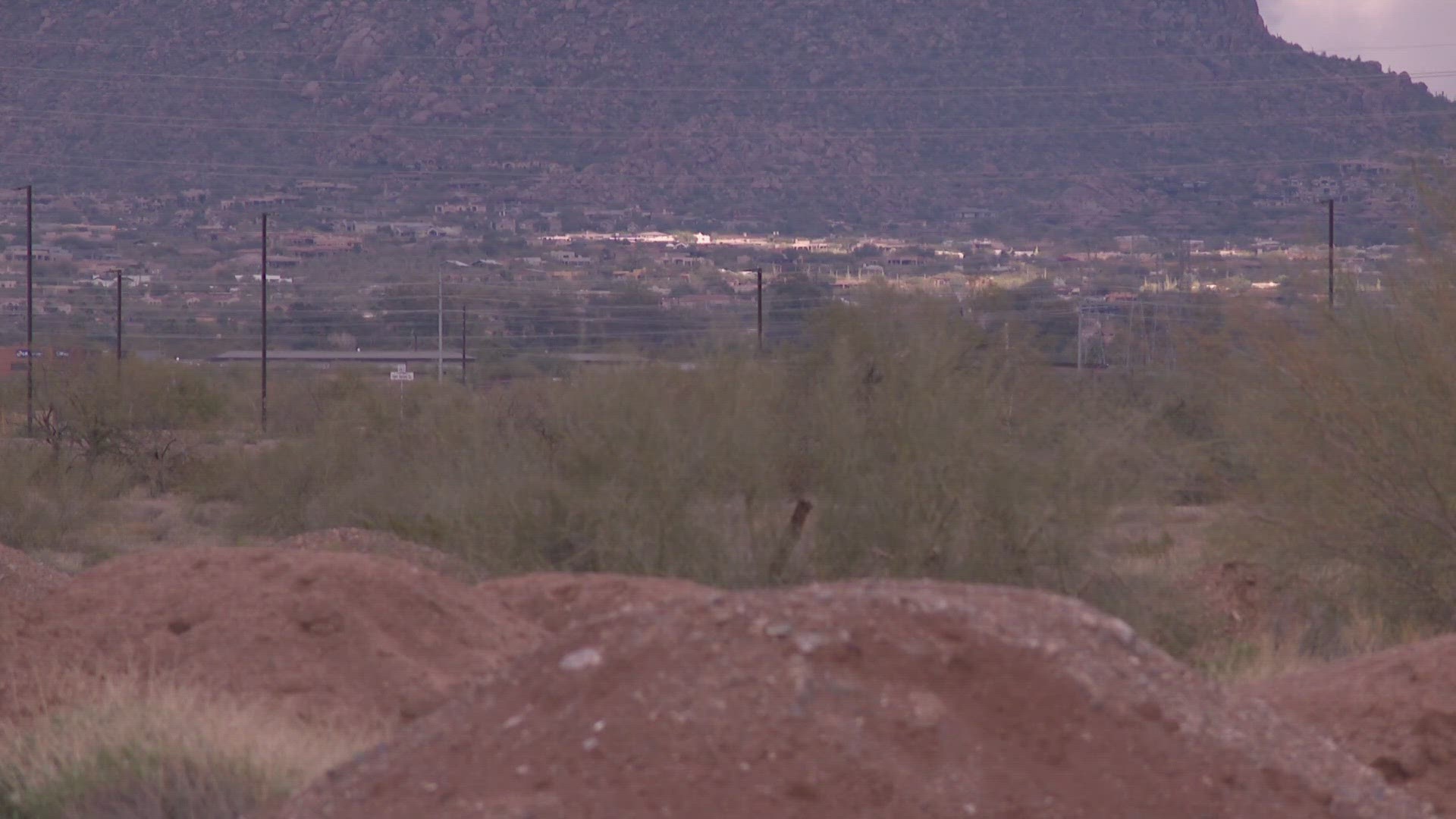 The Coyotes have submitted an application to purchase state trust land in Phoenix, but there are still many steps before the arena could be built.