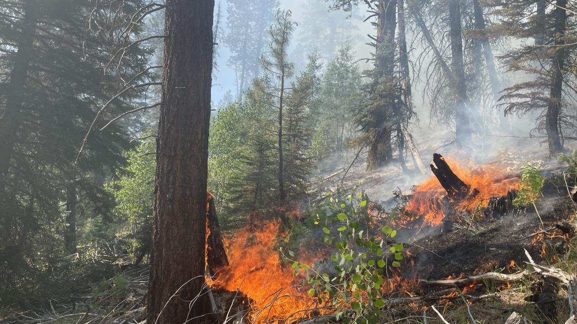 Fire activity on the North Rim of the Grand Canyon creates complications for travelers