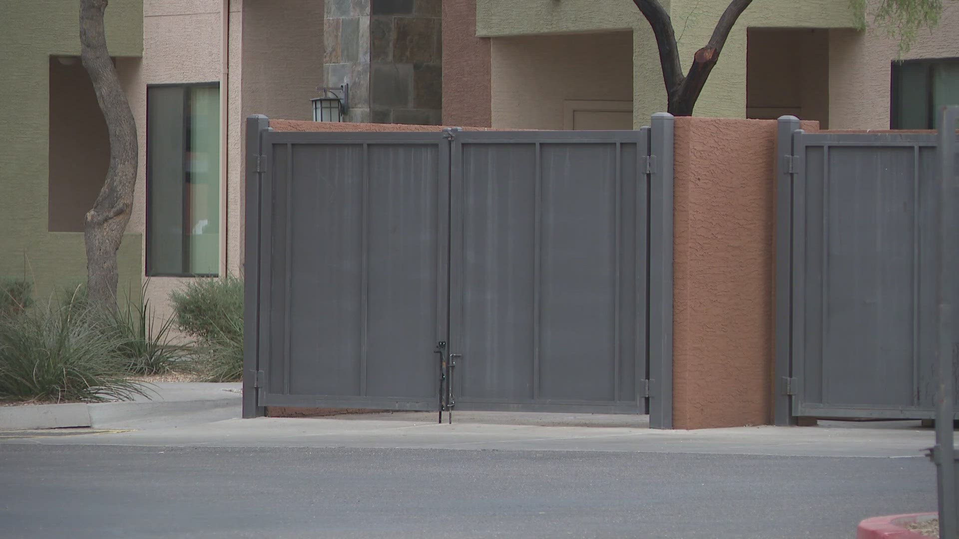 The Arizona Humane Society says the animal was found Tuesday inside a dumpster in north Phoenix.