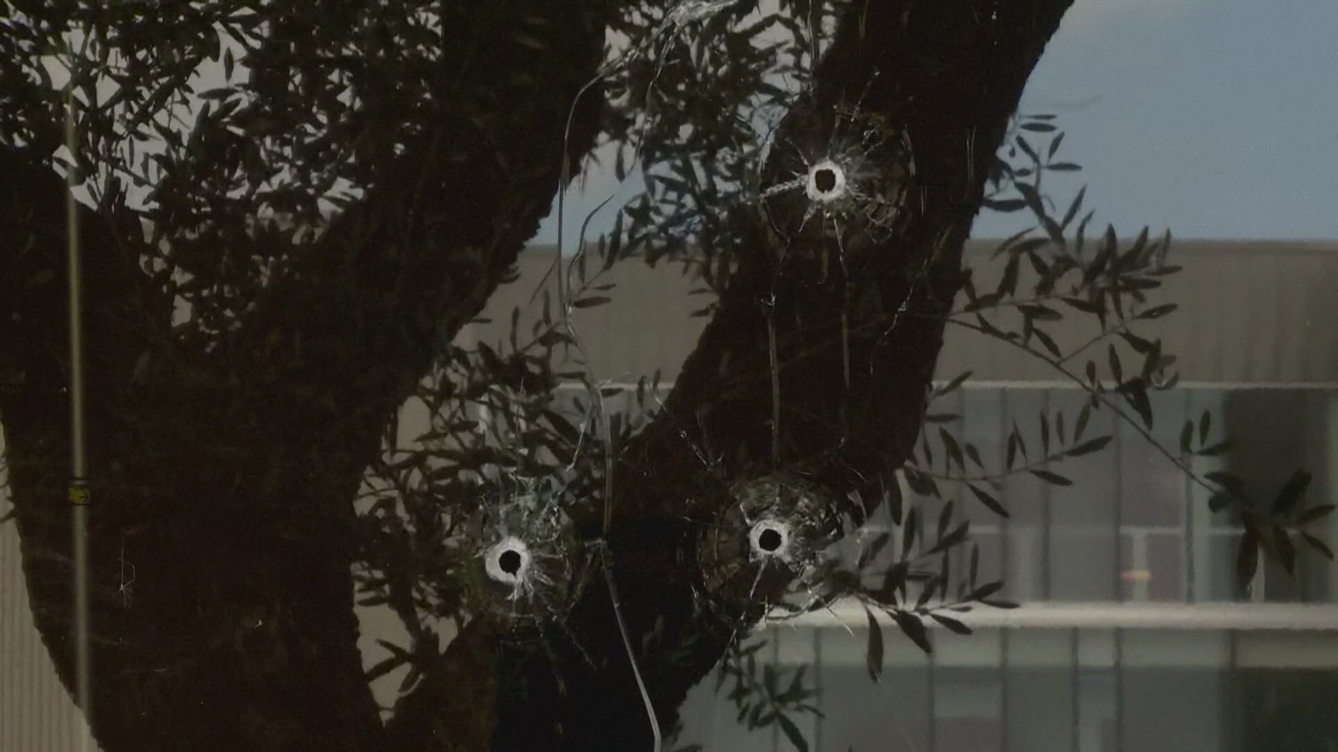 ABC 10, the Tegna television station in Sacramento, was shot at multiple times. Bullet holes can be seen in the building's windows.