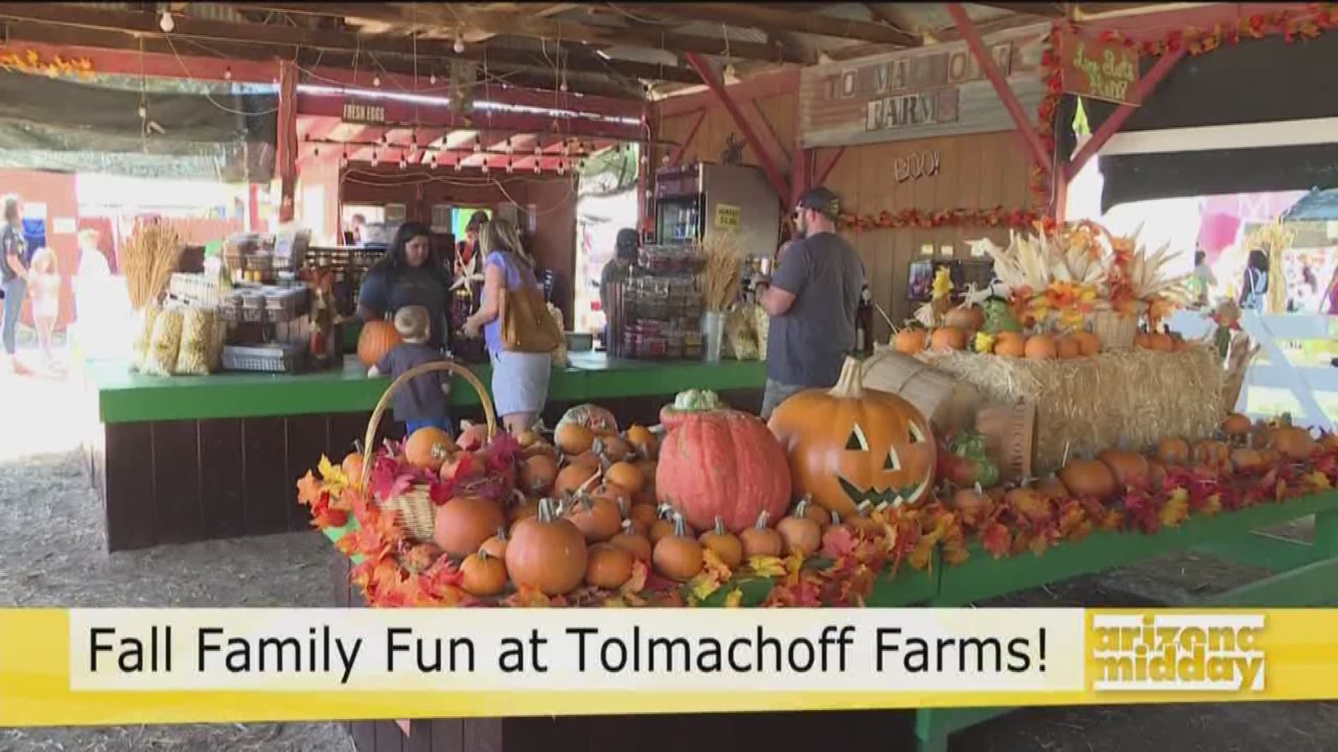 Pumpkin patches, hayrides and more right here in the Valley! Head to Tolmachoff Farms to get the country feel right here in the city.