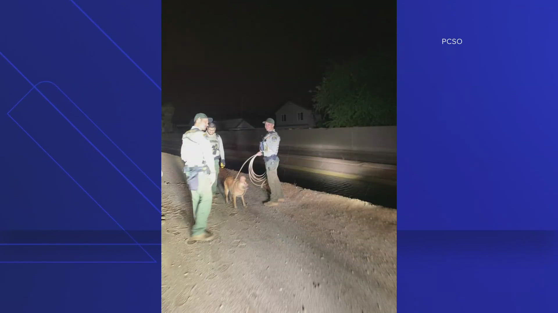 The dog's rescuers arrived to the scene around 1:50 a.m. after calls reported an animal was crying in distress.