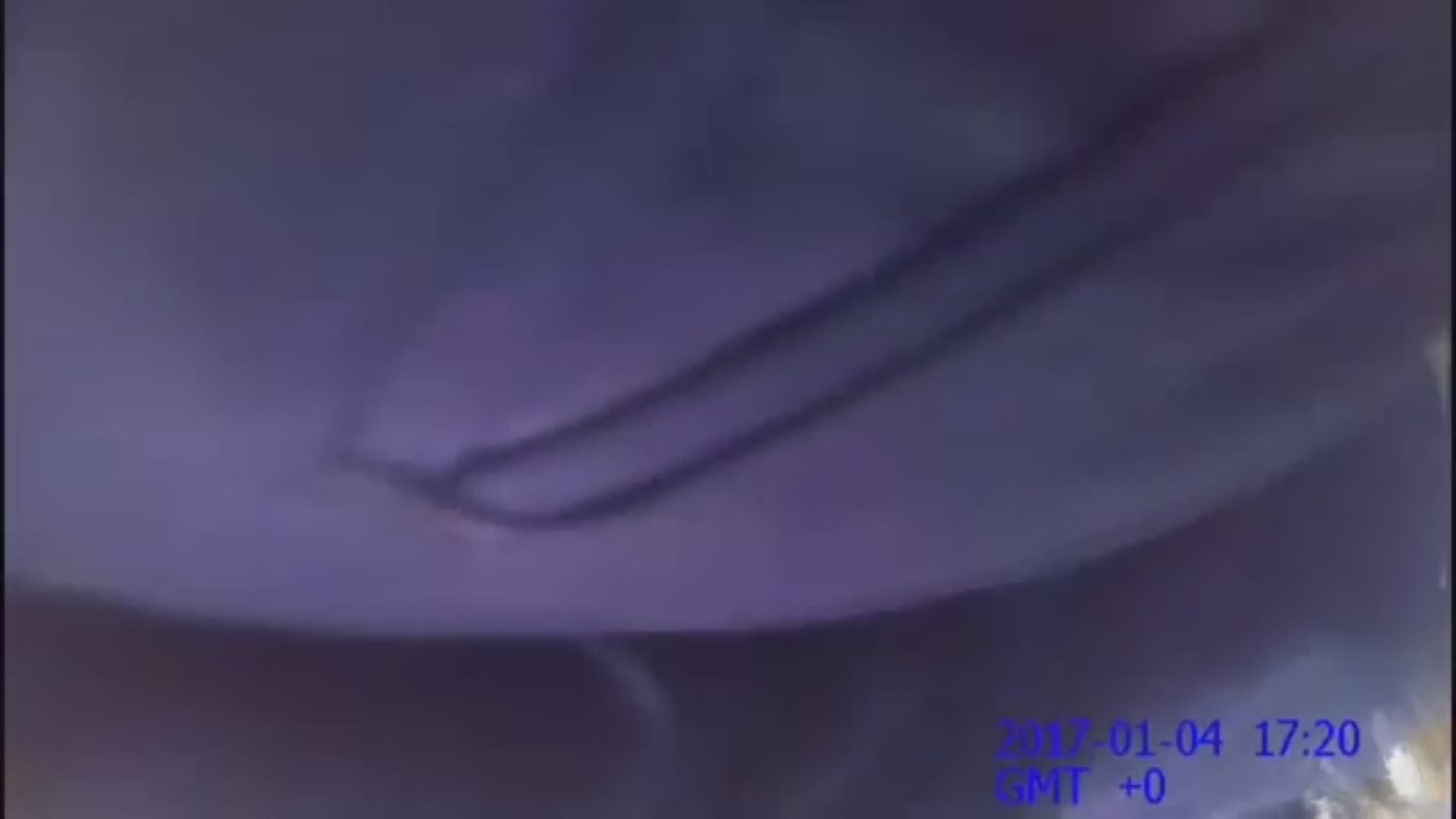 Phoenix police released body cam footage of the scuffle between police and a man who later died.