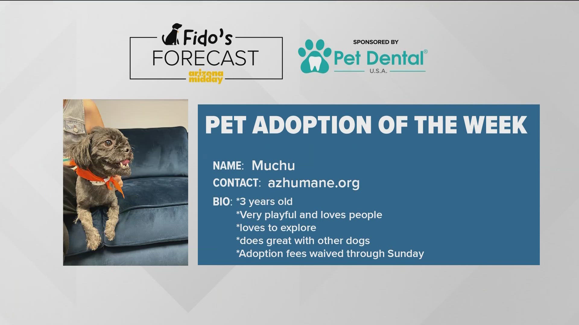 Arizona Humane Society brought 3-year-old Muchu to help find his “furever” homes and to assist Krystle with this weekend's Fido's Forecast.
