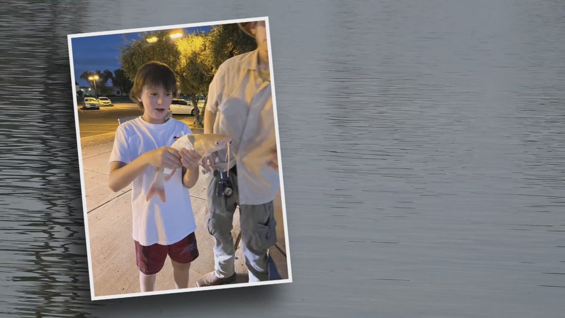 Gabe Drews was fishing in Chaparral Lake in Scottsdale when he caught something unexpected: an albino catfish! 12News spoke with Drews about the catch.