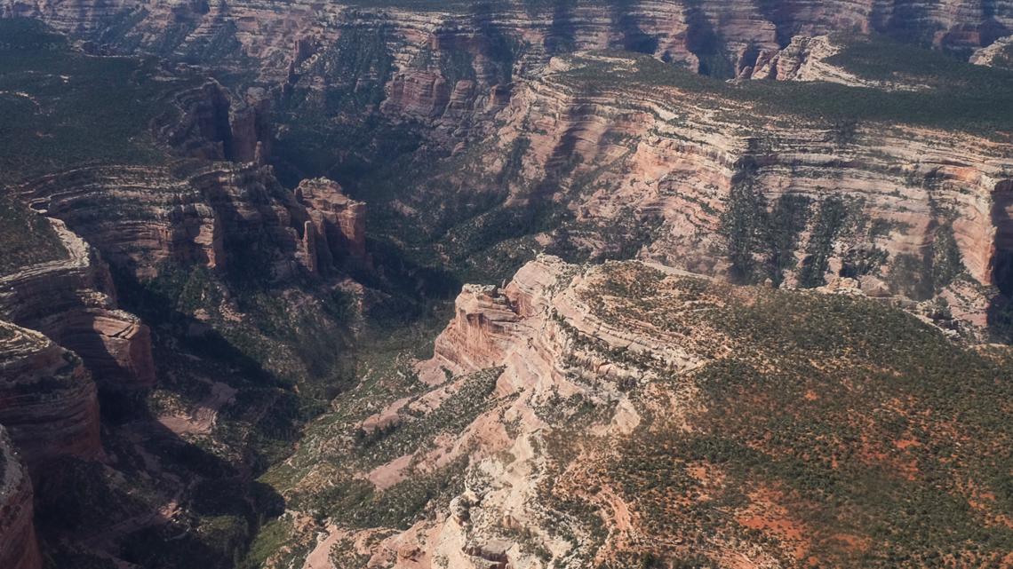 Navajo Nation officials happy with Bears Ears land return - Vimarsana News