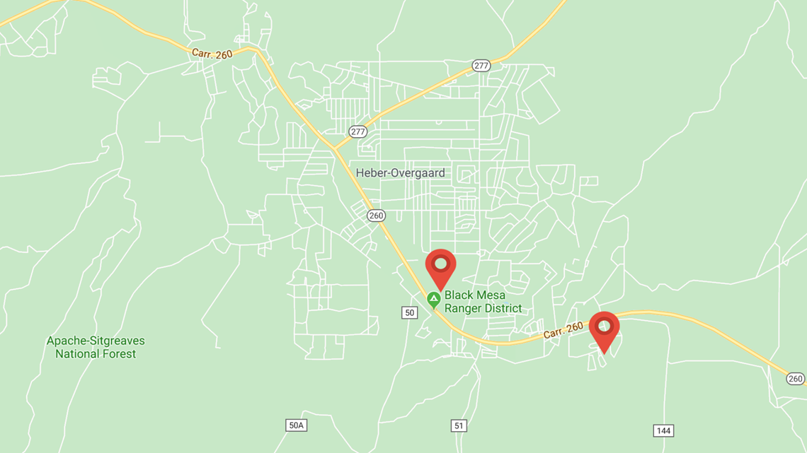 15 horses found dead in Apache-Sitgreaves National Forests - Vimarsana News