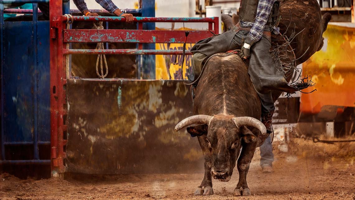 2027 PBR World Finals coming to Desert Diamond Arena in Glendale