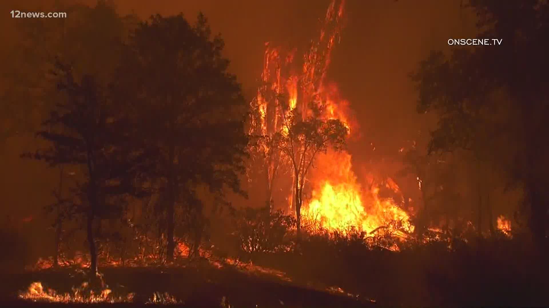 More than 40 wildfires are burning in California and more than 30 crews from Arizona are helping fight them.