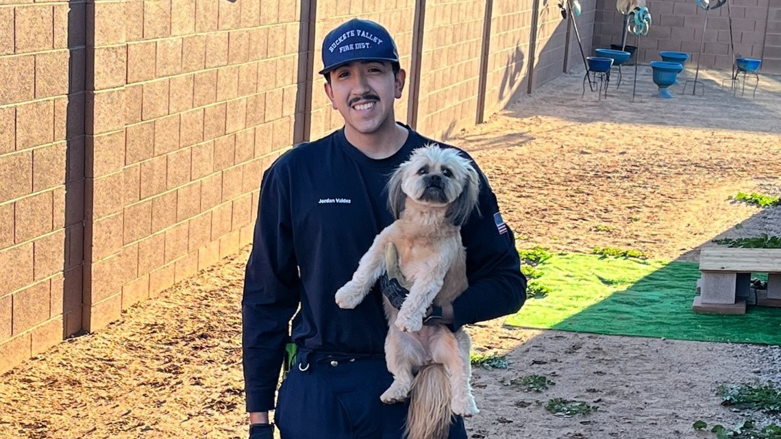 Anjing diselamatkan oleh petugas pemadam kebakaran Buckeye