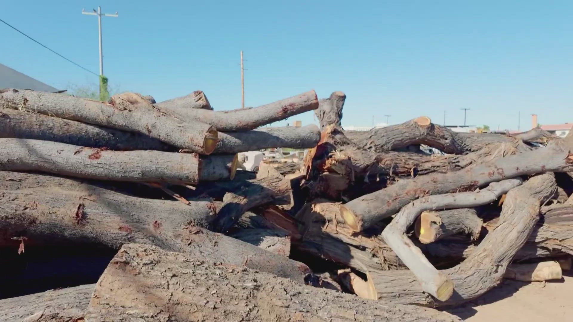 A Phoenix sawmill is taking debris from the Tempe microburst and turning it into new creations. 