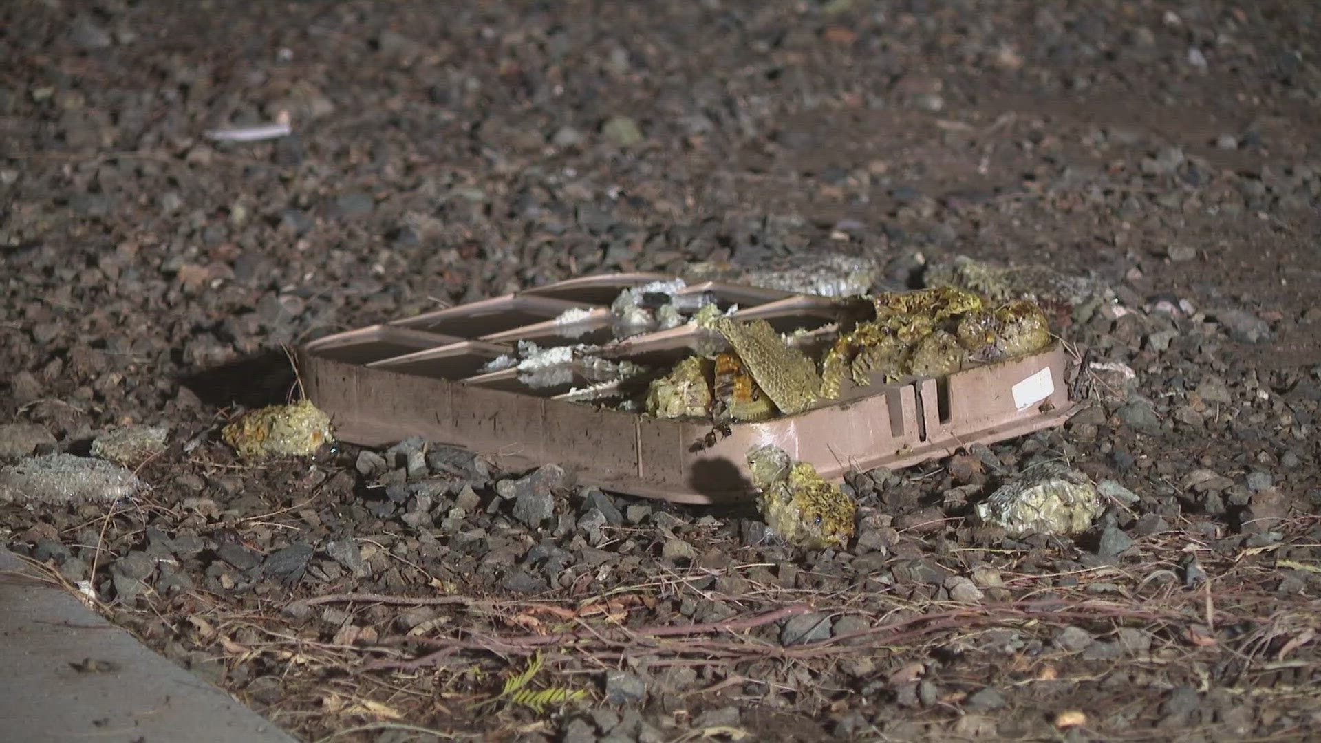 A swarm of bees attacked a group of people in a neighborhood near 175th Avenue and Greenway Road, just west of the Loop 303 freeway in Surprise. 