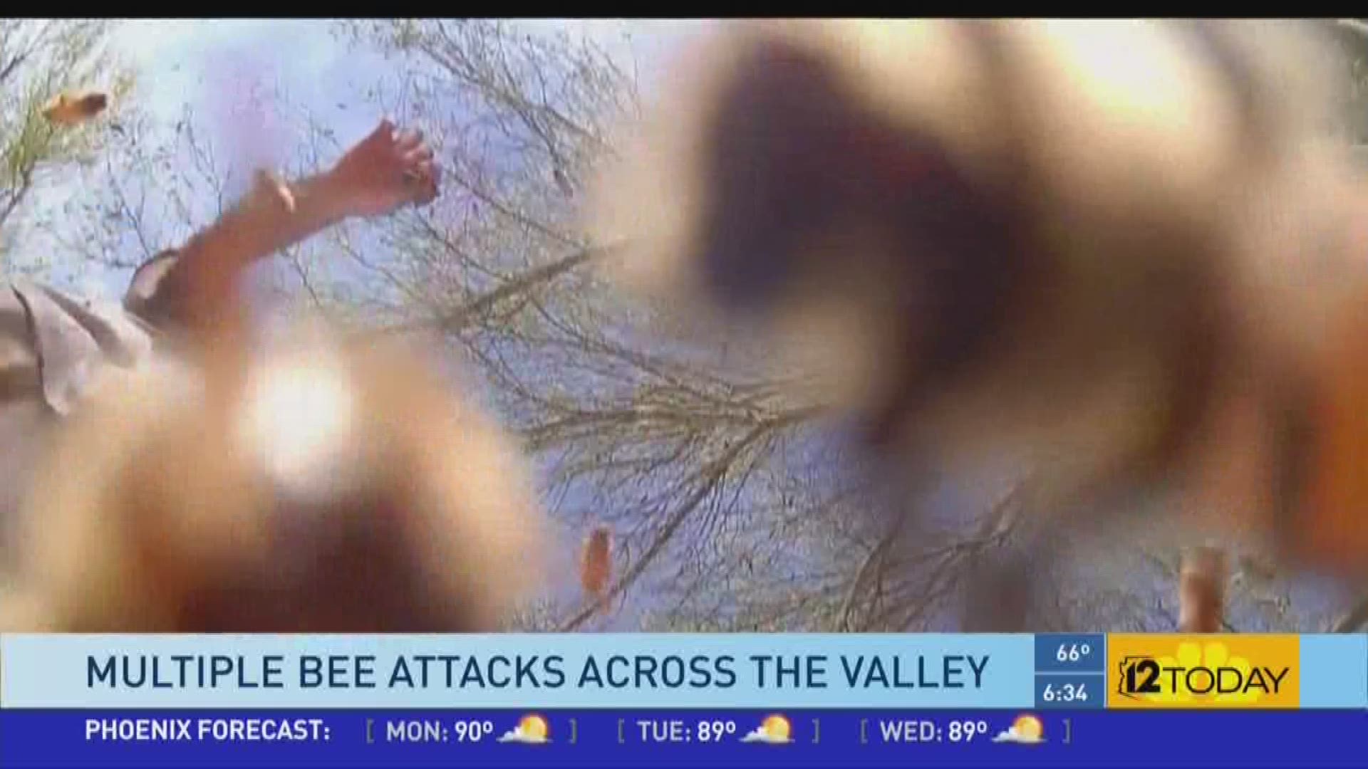 Experts warn people that swatting at swarming bees only aggravates them and increases your risk of being attacked.