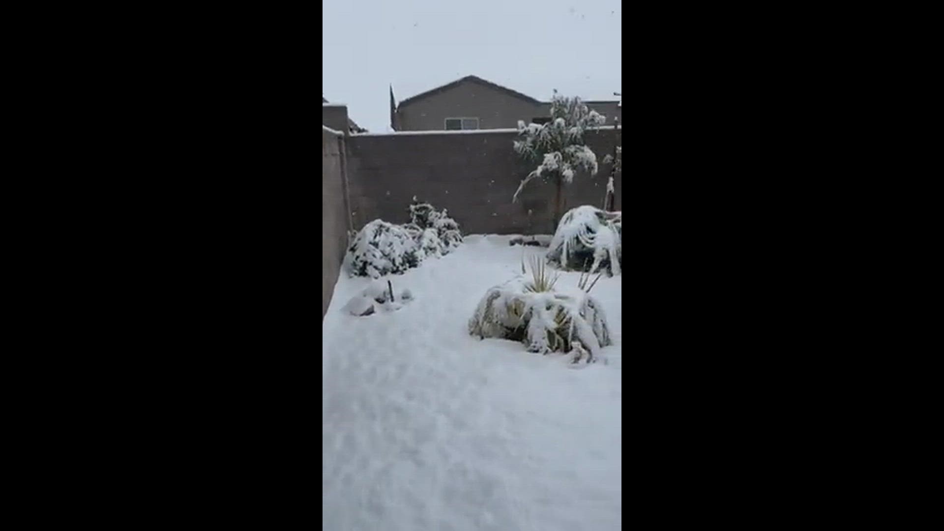 Lots of snow to welcome in March-it’s definitely coming in like a Lion!
Credit: Kathy Ason