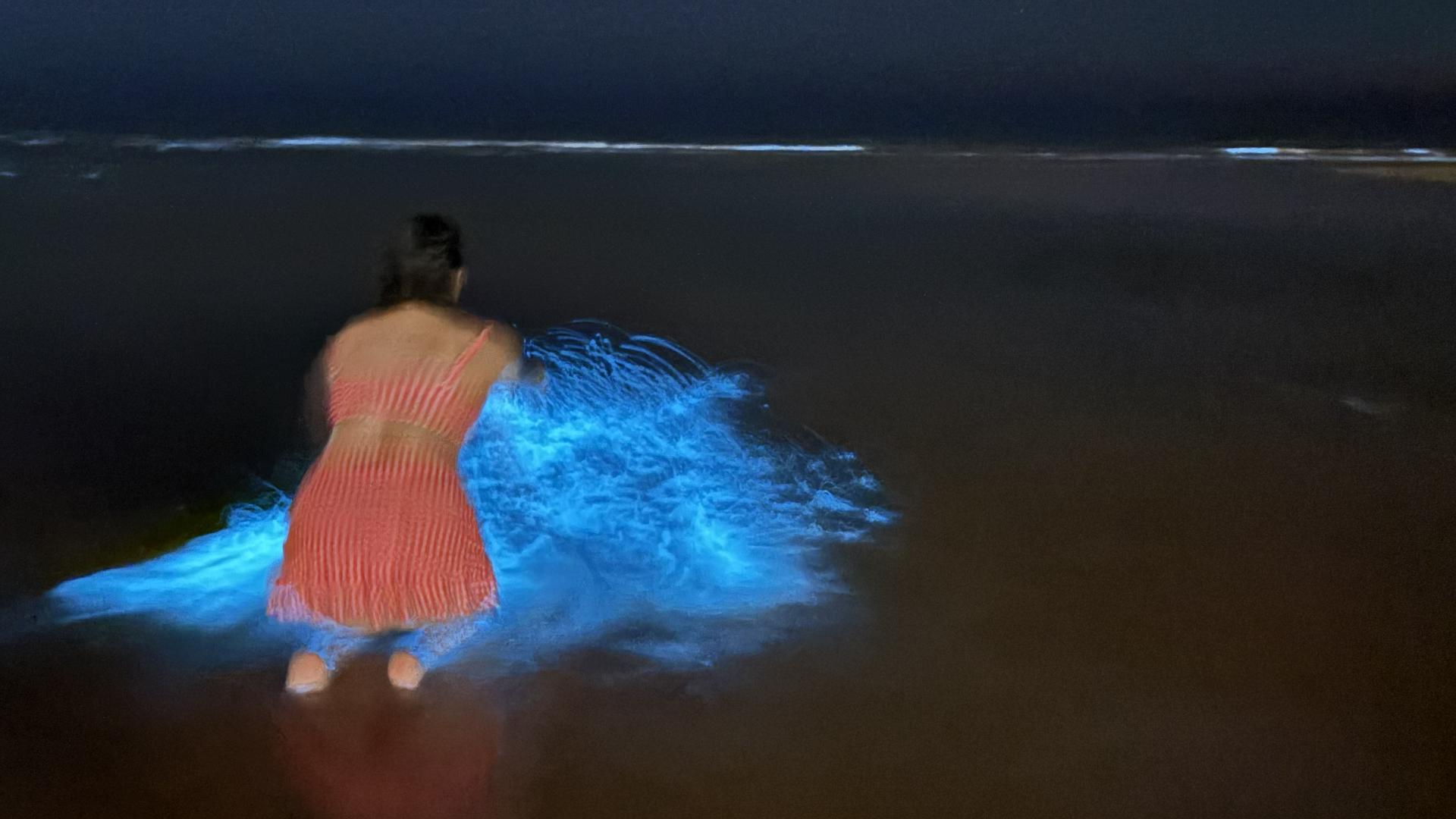 La playa de Puerto Peñasco se iluminó de azul una oscura noche de noviembre.