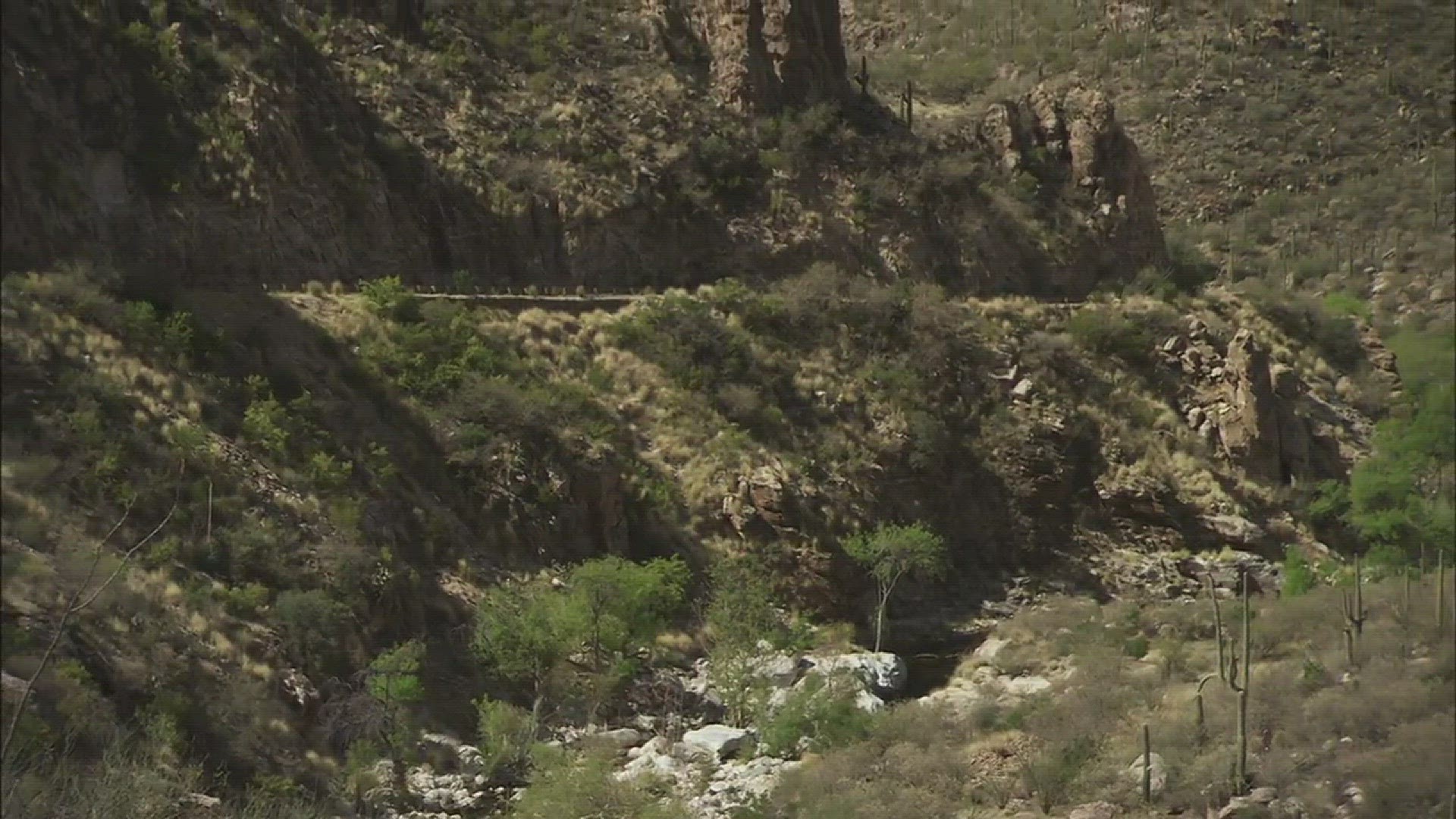 Sabino Canyon is one of those places Arizonans like to take out-of-state visitors to.