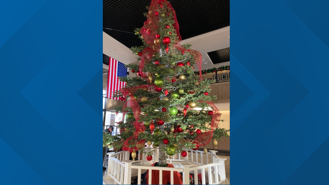 Pohon Natal AZ capitol dipanen sebagai bagian dari proyek penjarangan