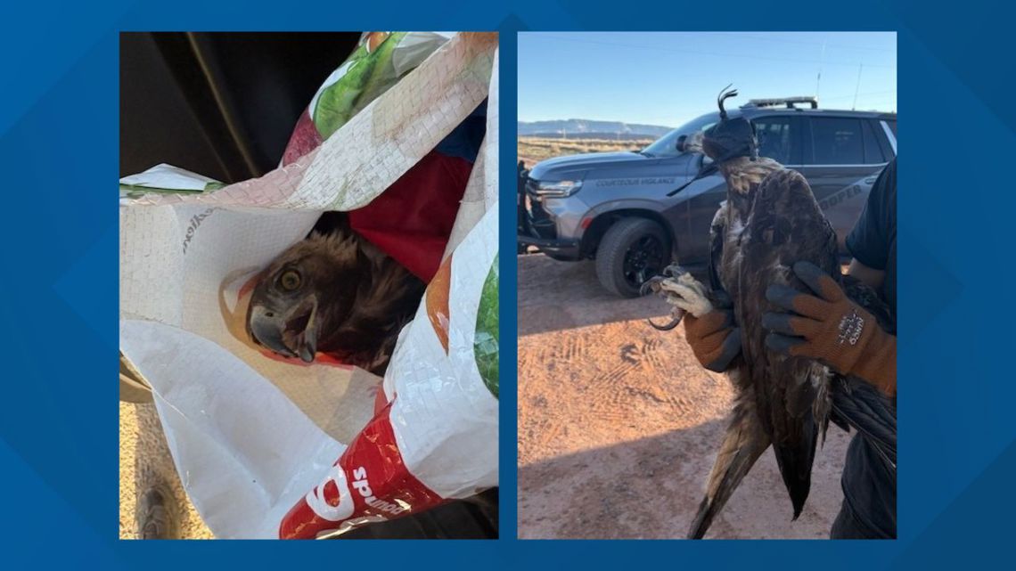 A Golden Eagle crashed into a car in Arizona. Then DPS troopers swooped in to help.