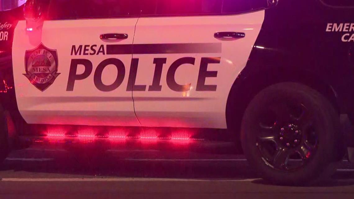 Man dead after hit-and-run crash near Mesa shopping center, police say