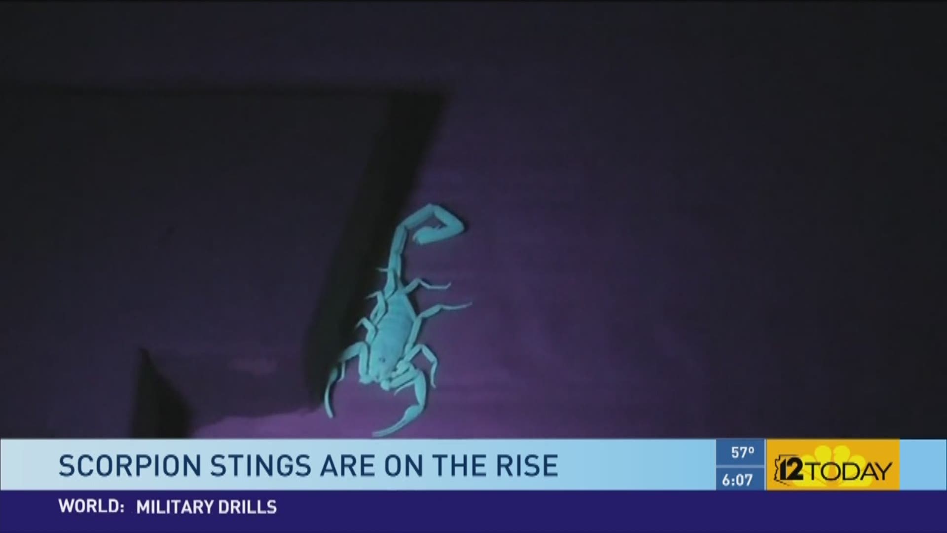 Scorpion Sweeper Ben Holland says 2016 is the earliest he's ever sought out the arthropods in Valley neighborhoods. Holland blames the earlier-than-normal heat.