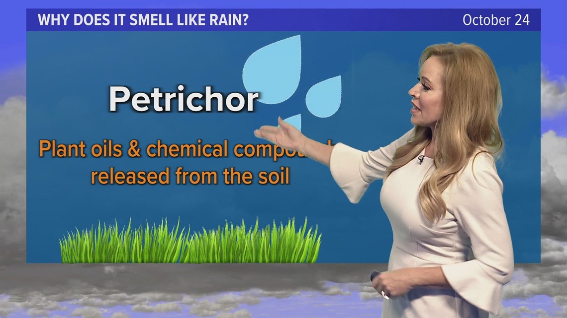 What is the smell after it rains?