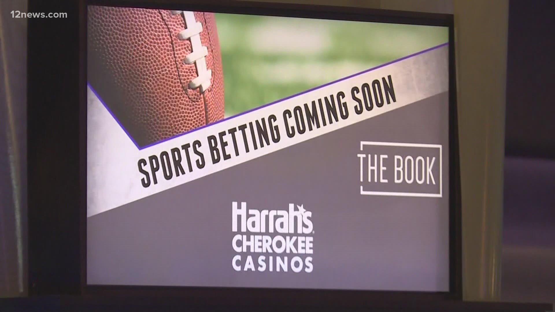 Betting season in Arizona could kick off in the fall. Thanks to a new law, all of the Valley's major sports teams will have licenses to run so-called sports books.