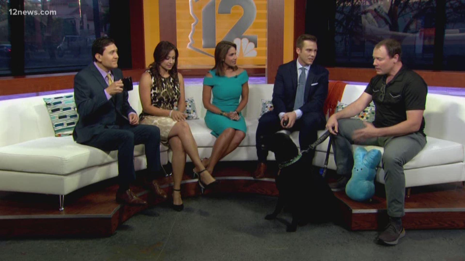 Dr. Brett Cordes, a.k.a. Brett the Vet, from Arizona Animal Hospital, chats with the Today in AZ team to share tips on keeping your dogs safe during the warm summer months.