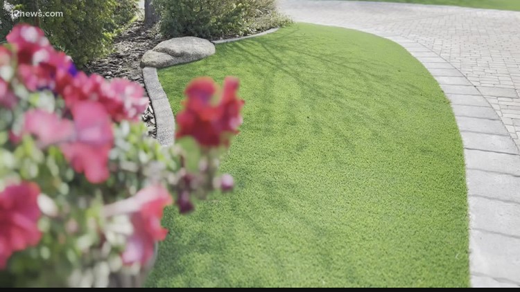 Drought conditions prompt Scottsdale to stop HOAs from forcing residents to overseed lawns