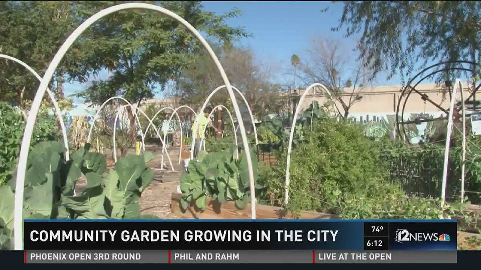 Garden in downtown Mesa helps you start your own oasis in the city 12news